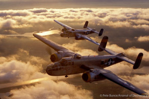 B-25_PeteBunce(web)